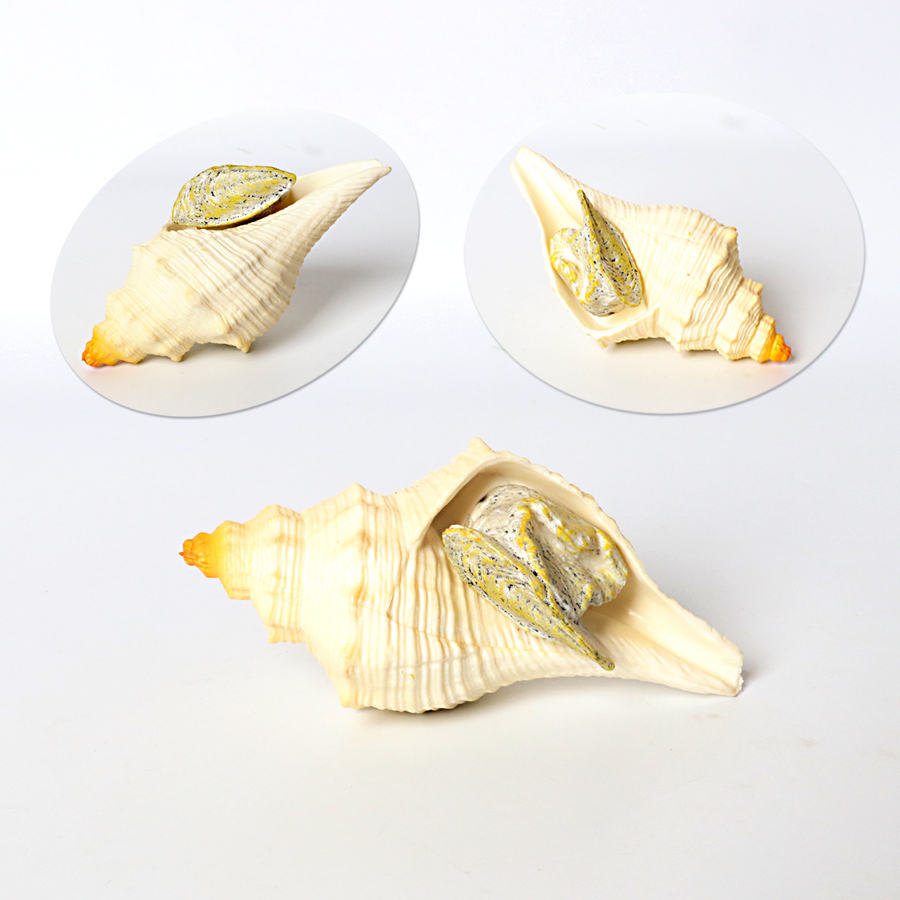 Plastic Prehistoric Sea Creatu - đánh giá và giá Kids Toys Under 1 Year