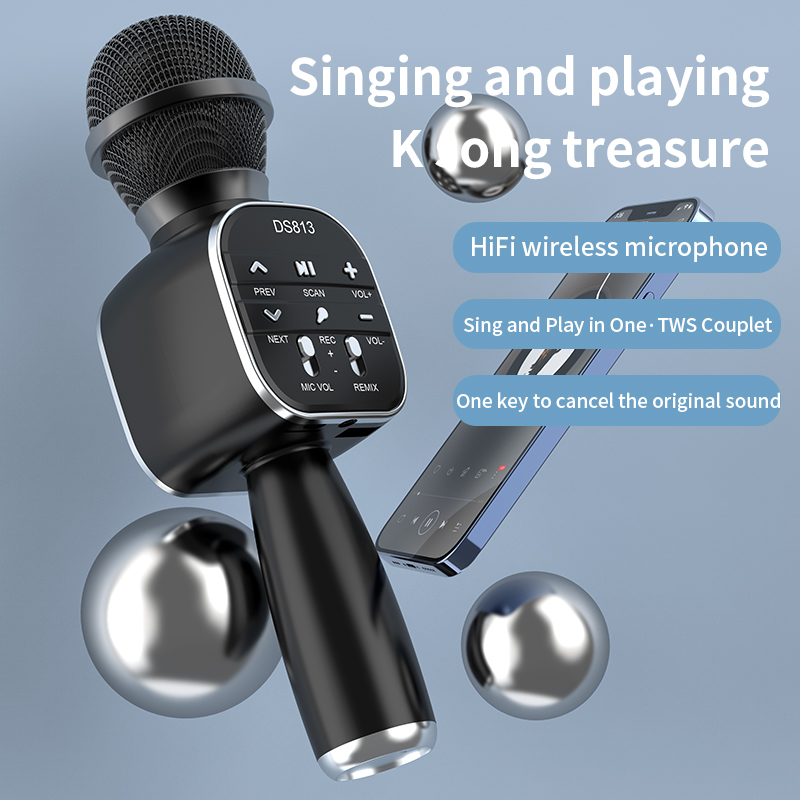 DS813 Không Dây Micro Hát Kara - đánh giá và giá Kids Microphone Karaoke