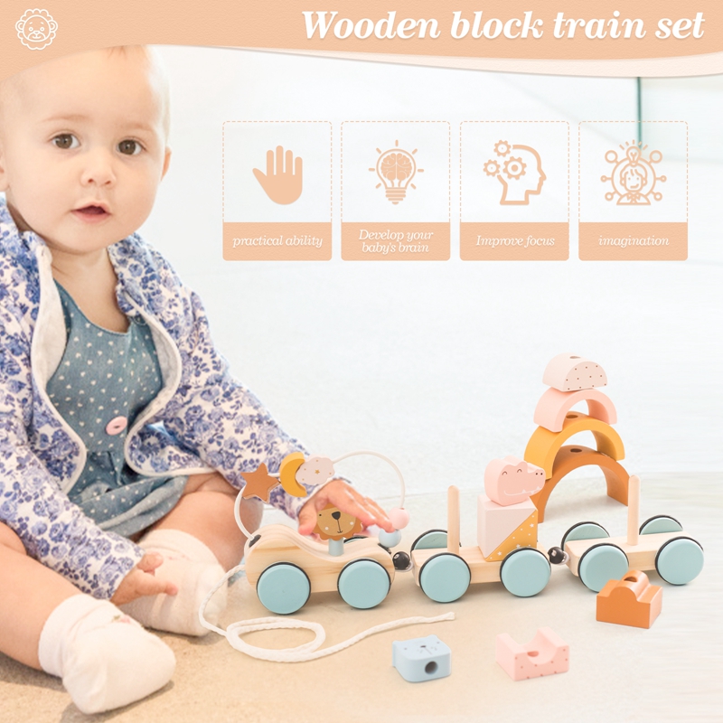 Wooden Montessori Toys Animal  - đánh giá và giá Kids Toys 2 Year Old
