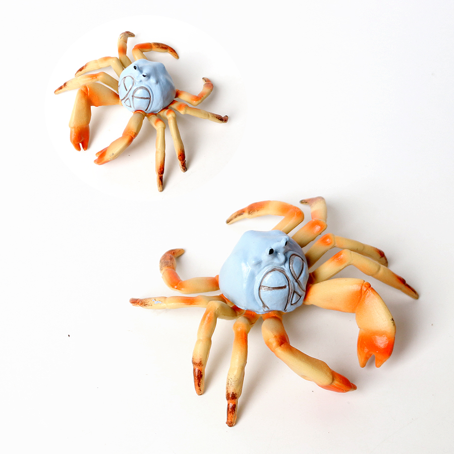 Realistic Ocean Animals Hermit - đánh giá và giá Kids Toys Under 1 Year
